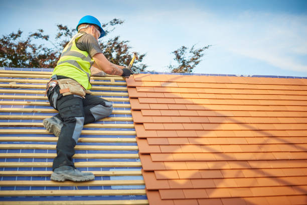 Best Roof Ventilation Installation  in Millersville, TN